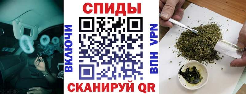 БУТИРАТ оксана  OMG рабочий сайт  Монино  где найти  