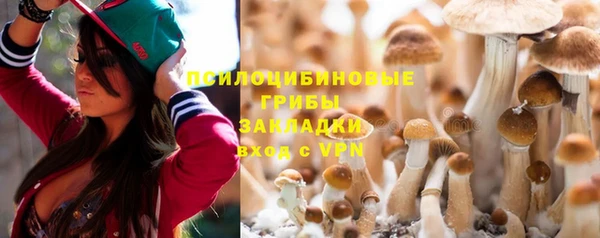 COCAINE Богородицк