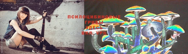 а пвп мука Богданович