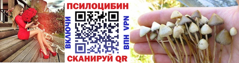 Псилоцибиновые грибы Magic Shrooms Монино